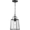 Progress Lighting Benton Harbor Collection One-Light Hanging Lantern with DURASHIELD P550065-031 - alternate 3